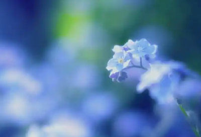 ​关于感叹生活无奈的语录(感叹人生无奈心酸的诗)