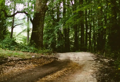 ​辛夷坞经典语录大全 《我们》辛夷坞经典语录