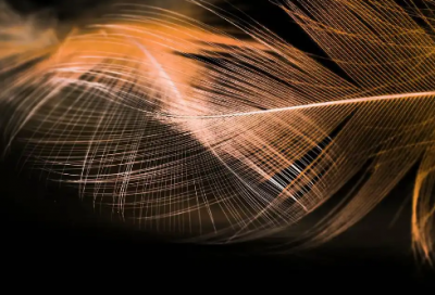 ​失望久了也就无所谓的情感语录