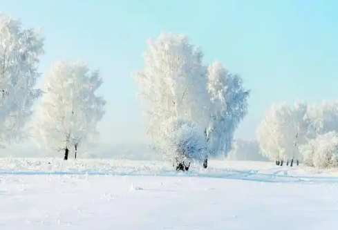 1767657500820305.png image.png