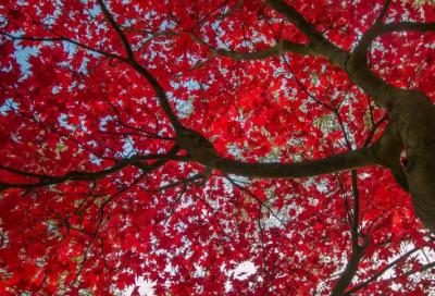 ​2026年让自己心静的佛语经典语录