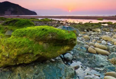 ​夏达经典语录76句