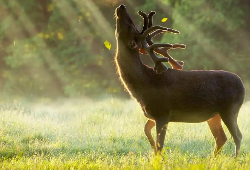 1767659989210921.png image.png