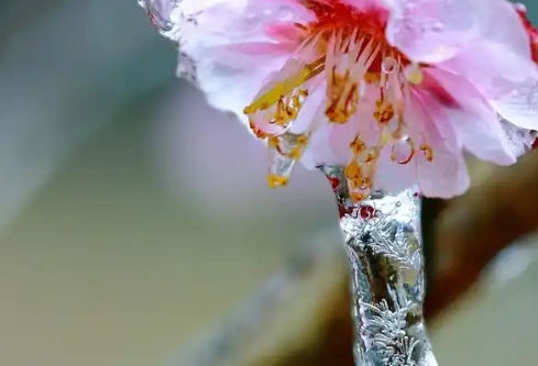 1767661979934837.png image.png