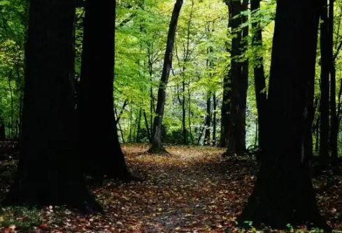 1767662311745442.png image.png