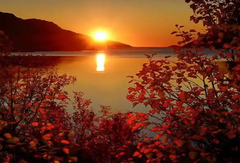 1767663472488914.png image.png