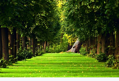 1767665131418359.png image.png