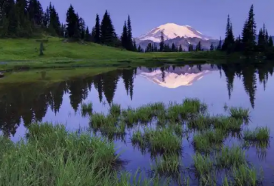 ​壹周立波秀2026年语录85句