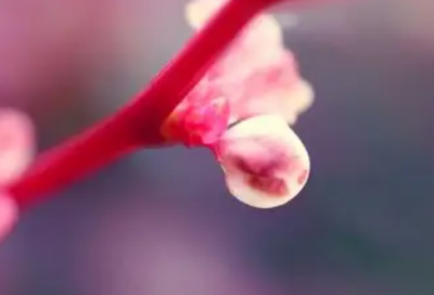 ​谎言被揭穿的经典语录84句