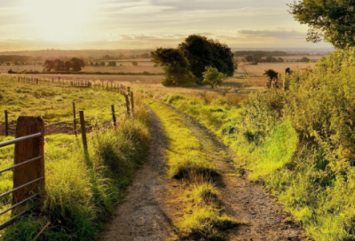 ​阿信语录59句