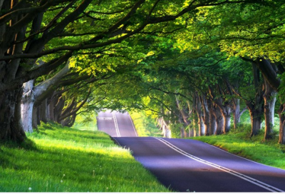 ​亲爱的翻译官经典语录