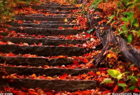 1767670272588523.png image.png