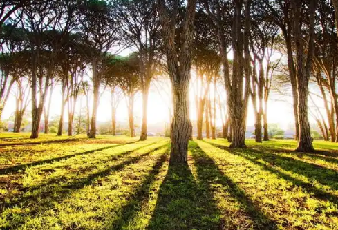 1767671267425247.png image.png