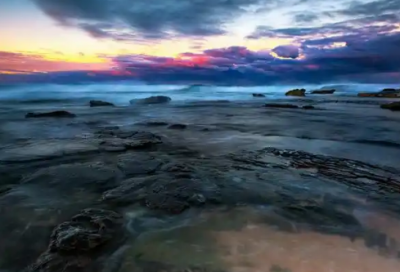 ​家的n次方语录56句