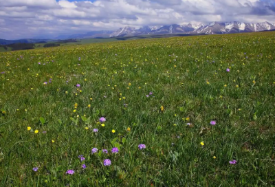 ​电影感人语录经典语录65句