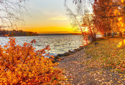 ​关于爱情的动漫语录69句