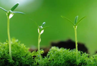 ​抽烟的经典流行语录83句