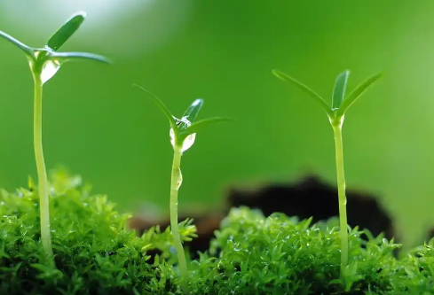 1767672096134402.png image.png