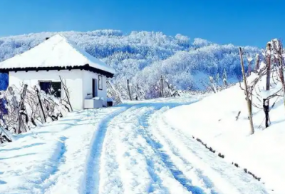 ​女人正能量心灵鸡汤经典语录