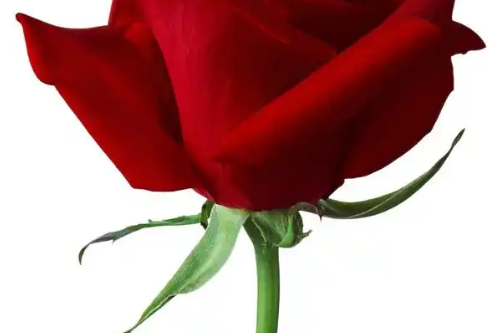 1767676077260932.png image.png