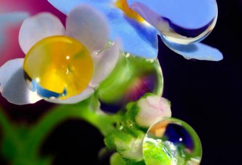 1767676409732303.png image.png