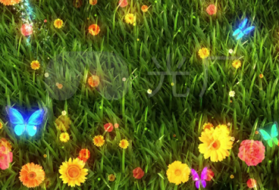 ​万峰老师经典语录20句