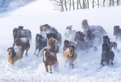 ​2026优美爱情语录