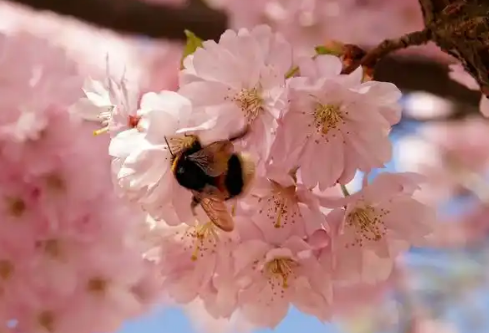 1767678731124311.png image.png