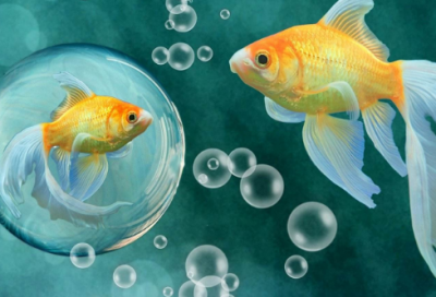 ​明晓溪经典语录大全 明晓溪经典语录