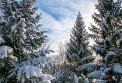 ​人生佛语经典语录 最精辟的佛语短句