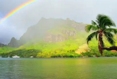 ​女生爱情宣言经典语录大全