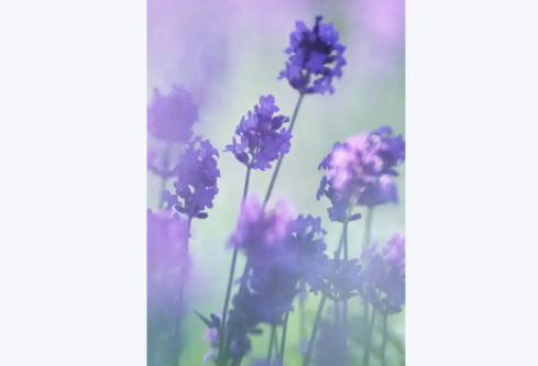 1767683708654363.png image.png