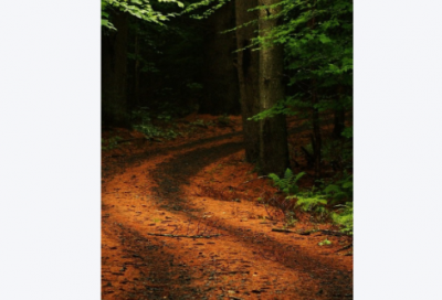 ​2026年护士节赞美护士的唯美语录