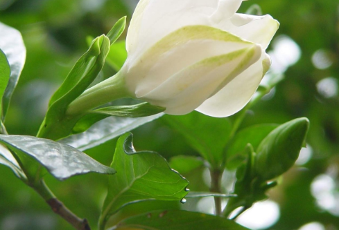 1767688019671154.png image.png