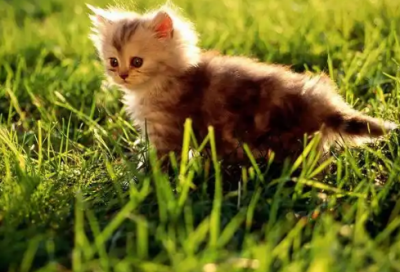 ​马云励志语录70句