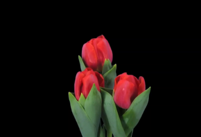 ​夫妻离婚的伤感语录