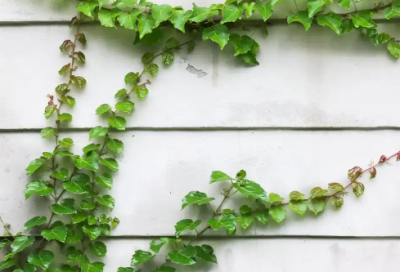 ​2026年伤感留言语录113句