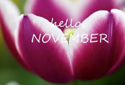 ​早安发朋友圈暖心语录 适合发朋友圈的早安语