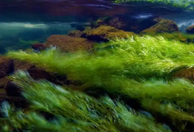 ​最新经典爱情语录110句