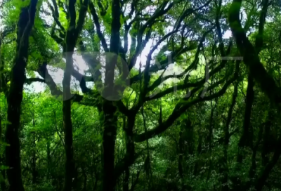 ​大学毕业悲伤语录短句 大学毕业语录短句