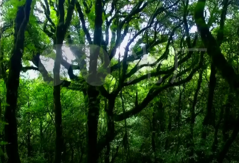 1767694489672718.png image.png