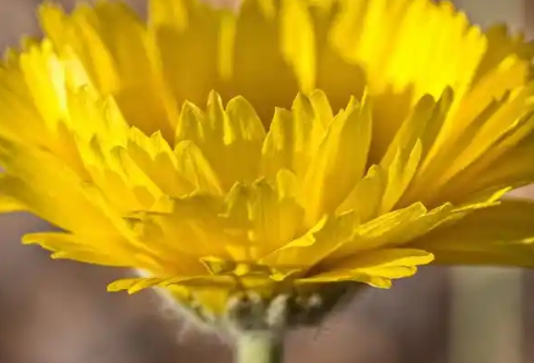 1767694655592855.png image.png