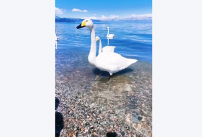 ​成功经典语录80句