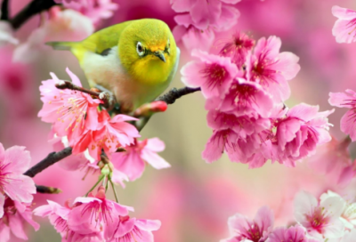 ​刘一秒语录大全89句