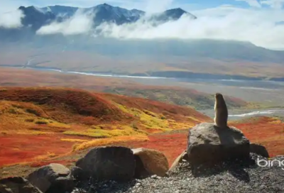 ​经典伤感语录签名句子