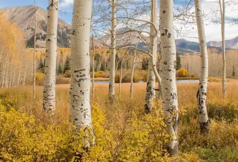 1767697475350099.png image.png