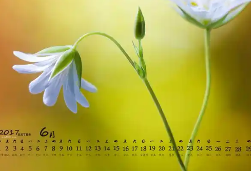 1767697972402801.png image.png