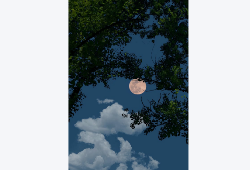 1767698470764652.png image.png