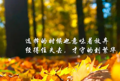 ​关于销售的鸡汤语录