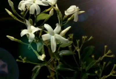 ​高中生的励志经典语录 高中生激励名言